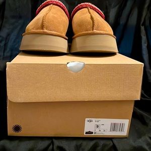 UGG TAZZ Chestnut suede Platform Slipper Clog